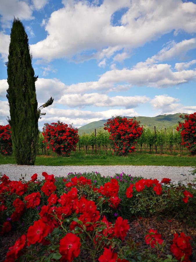 Villa Pizzulin - Wine&Living Prepotto  Exterior foto